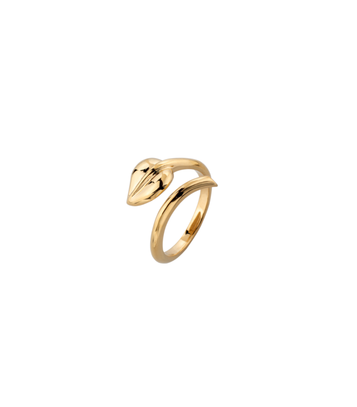 Amorous Ring