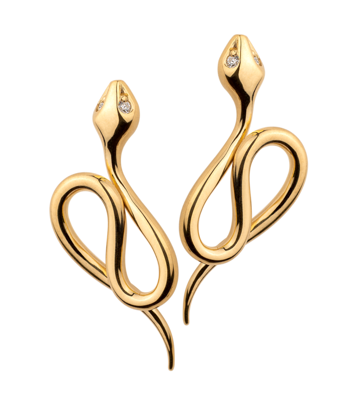 Multicolored Snake Earrings